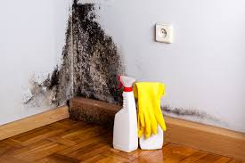 El Verano, CA Mold Inspection Company